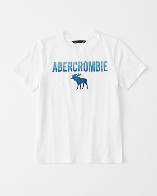 Софт футболка с коротким рукавом FW36 FW36 от онлайн-магазина Abercrombie.ru