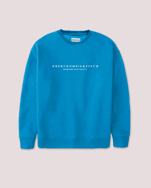 Свитшот с логотипом голубого цвета ST54 ST54 от онлайн-магазина Abercrombie.ru