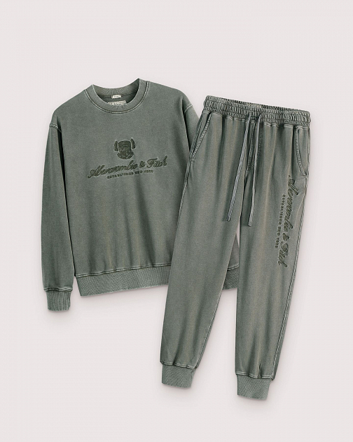 Мужские трикотажные штаны фисташкового цвета D53 D53 от онлайн-магазина Abercrombie.ru