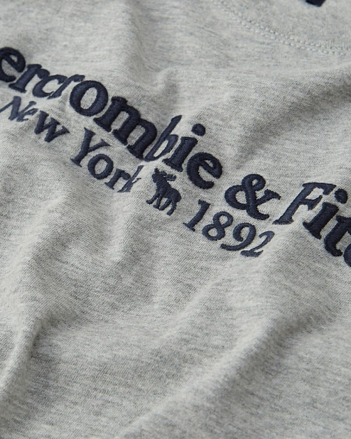 Футболка с коротким рукавом FW18 FW18 от онлайн-магазина Abercrombie.ru